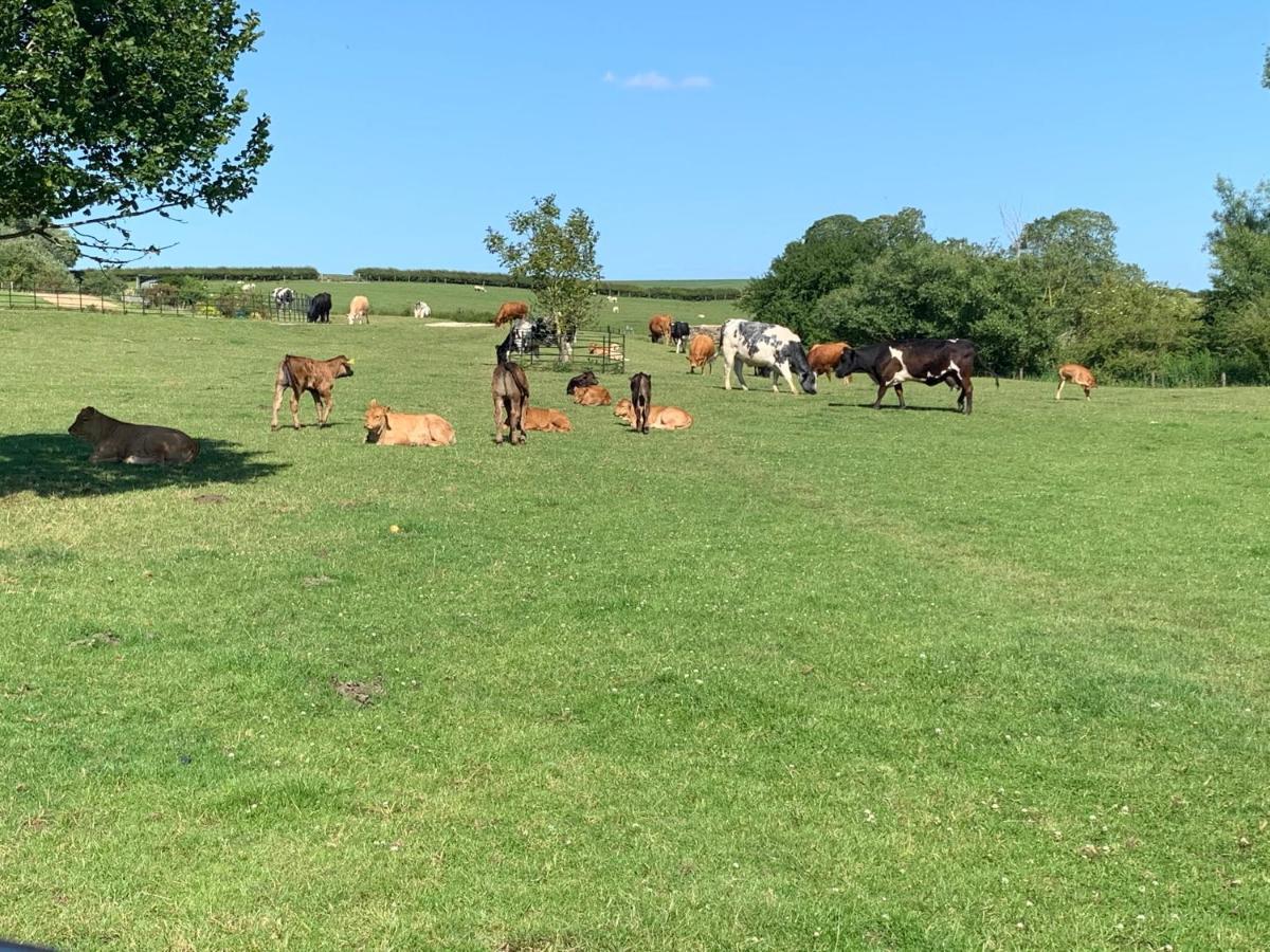 Weatherhead Farm Buckingham Ngoại thất bức ảnh
