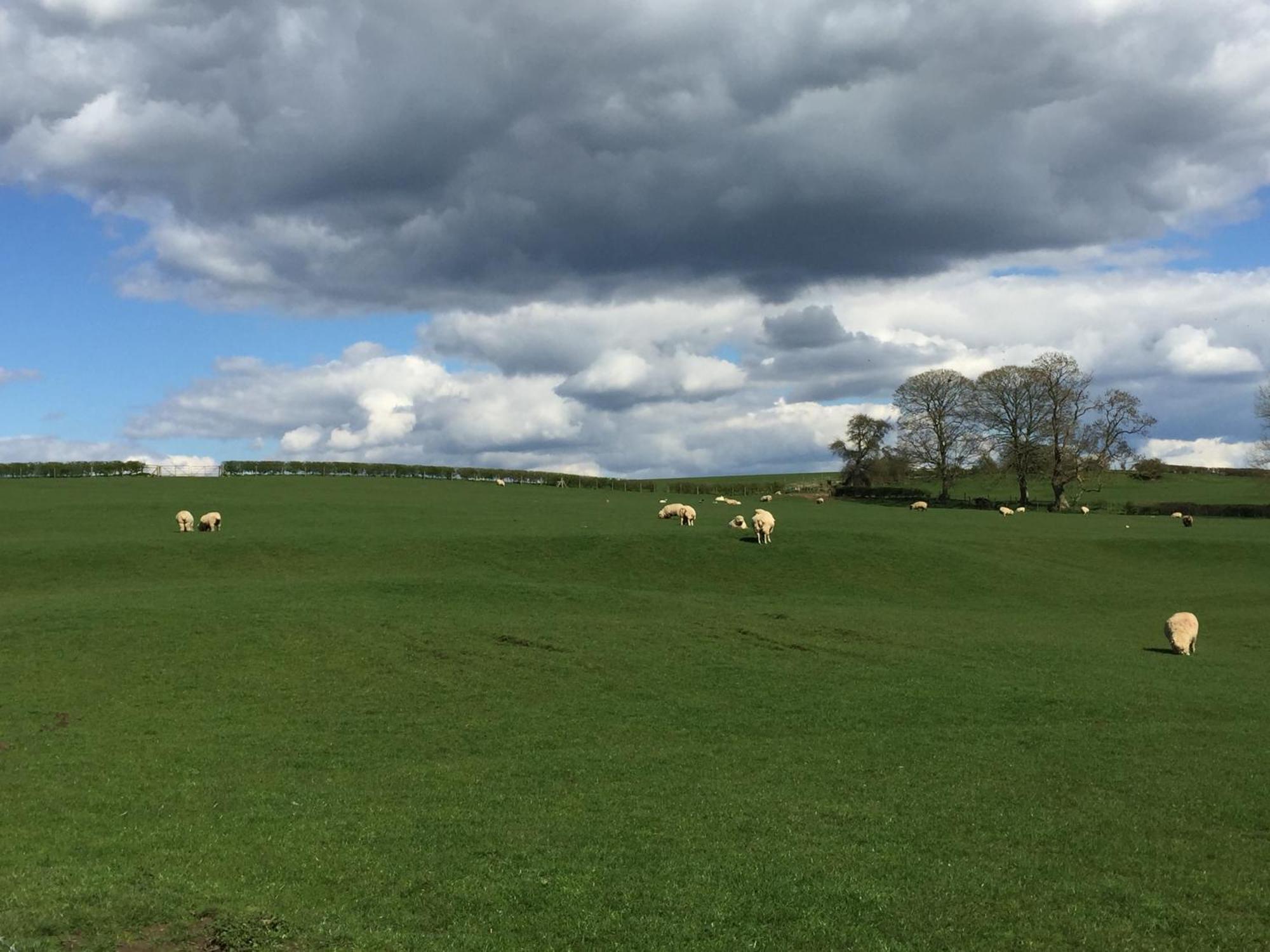 Weatherhead Farm Buckingham Ngoại thất bức ảnh